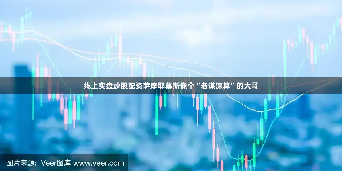 线上实盘炒股配资萨摩耶慕斯像个“老谋深算”的大哥