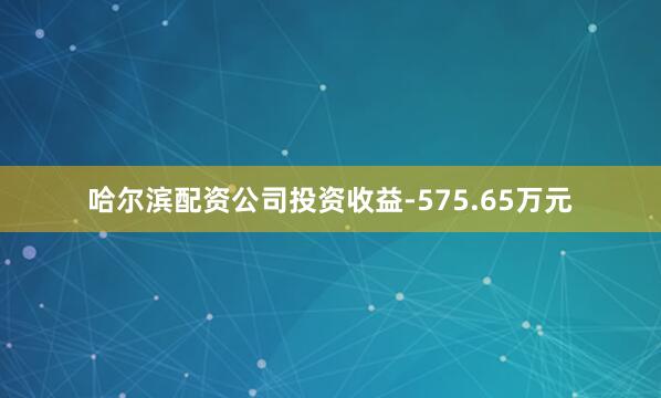 哈尔滨配资公司投资收益-575.65万元