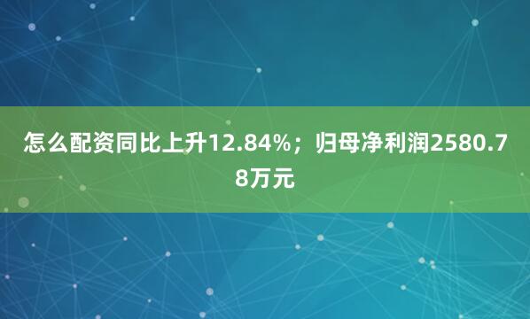 怎么配资同比上升12.84%;归母净利润2580.78万元