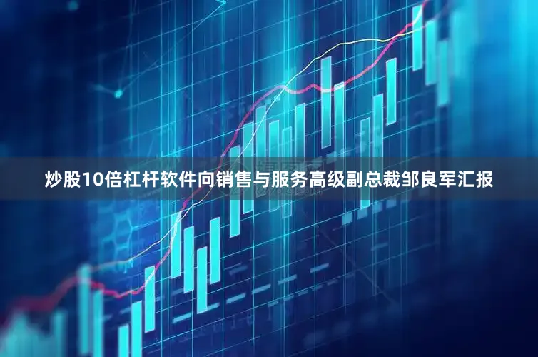 炒股10倍杠杆软件向销售与服务高级副总裁邹良军汇报