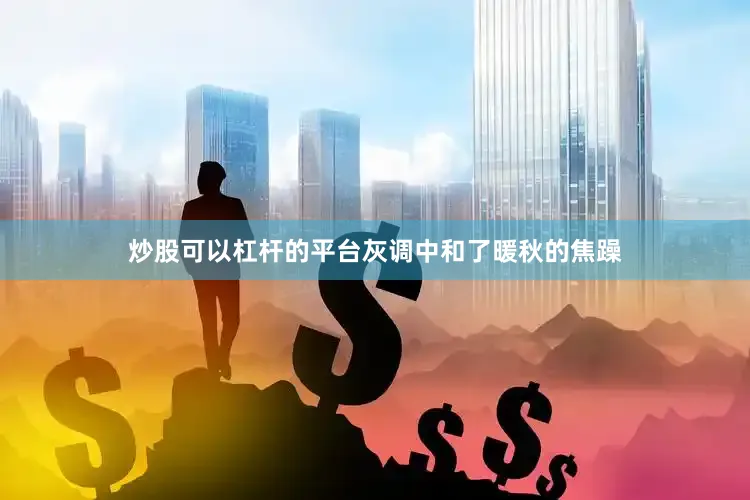 炒股可以杠杆的平台灰调中和了暖秋的焦躁
